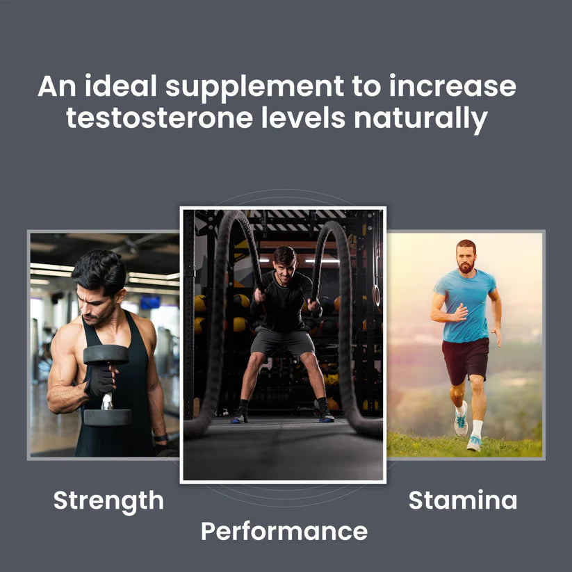 Dr. Morepen Testo Boost & Shilajit Resin 15g