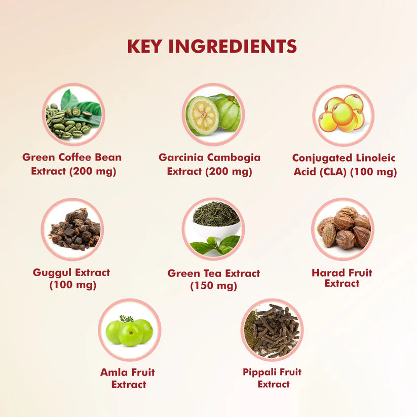 Dr. Morepen Fat Burner