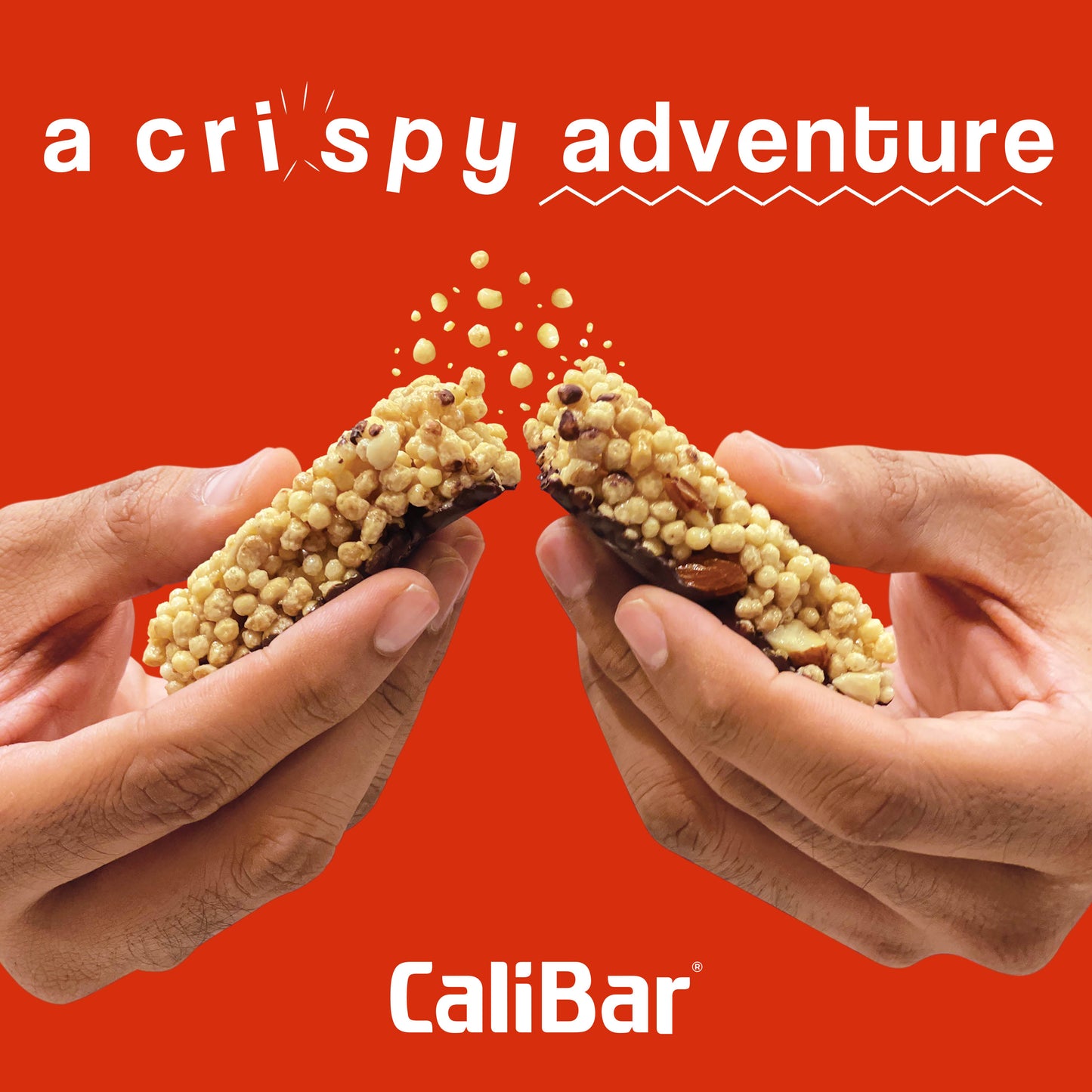 CaliBar 20g Protein Bar Variety Pack