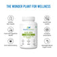 steadfast nutrition Aloe Vera Capsule - Pack of 60 Capsules
