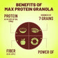 Max Protein Granola - Fruits & Nuts