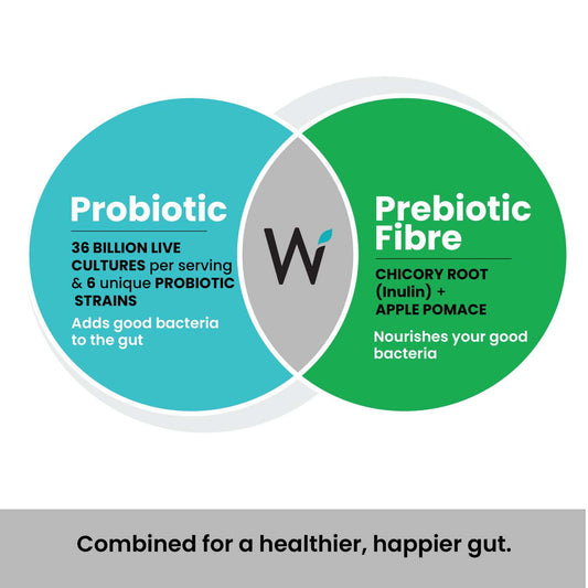 Wellbeing Daily Probiotic + Prebiotic | Plant-Based Gut Health