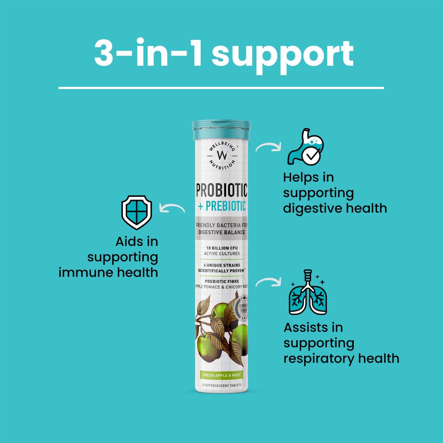 Wellbeing Daily Probiotic + Prebiotic | Plant-Based Gut Health