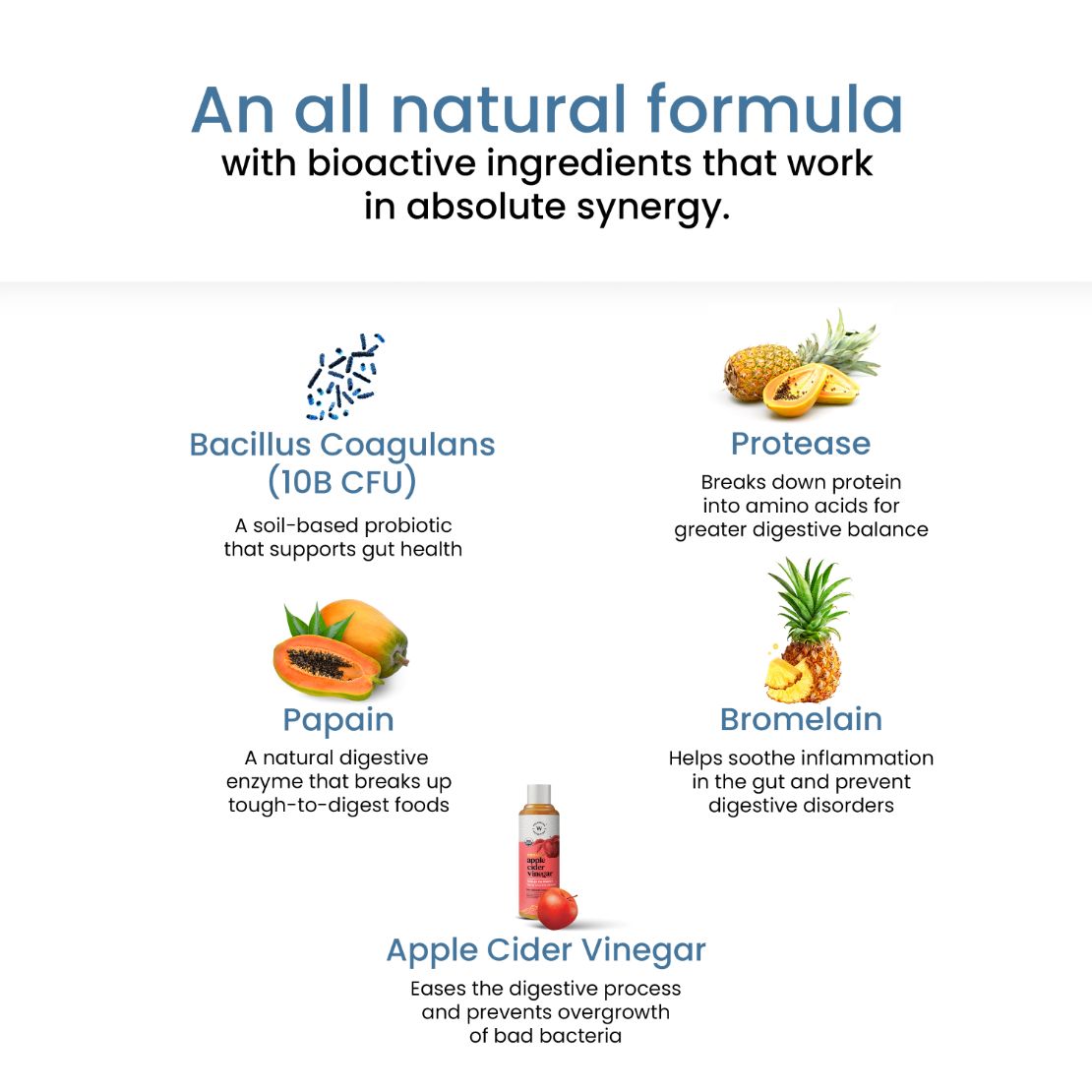 Wellbeing Melts Healthy Gut | Probiotics, Enzymes & ACV