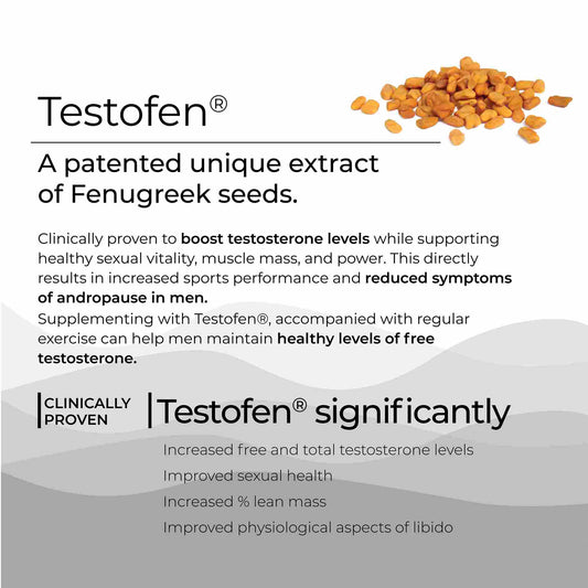 Wellbeing Nutrition Melts Testo Power – Testosterone Booster