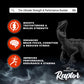 Dr. Morepen Raptor