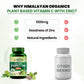 Vlado’s Himalayan Organics Vitamin C + Zinc | Immunity & Skin