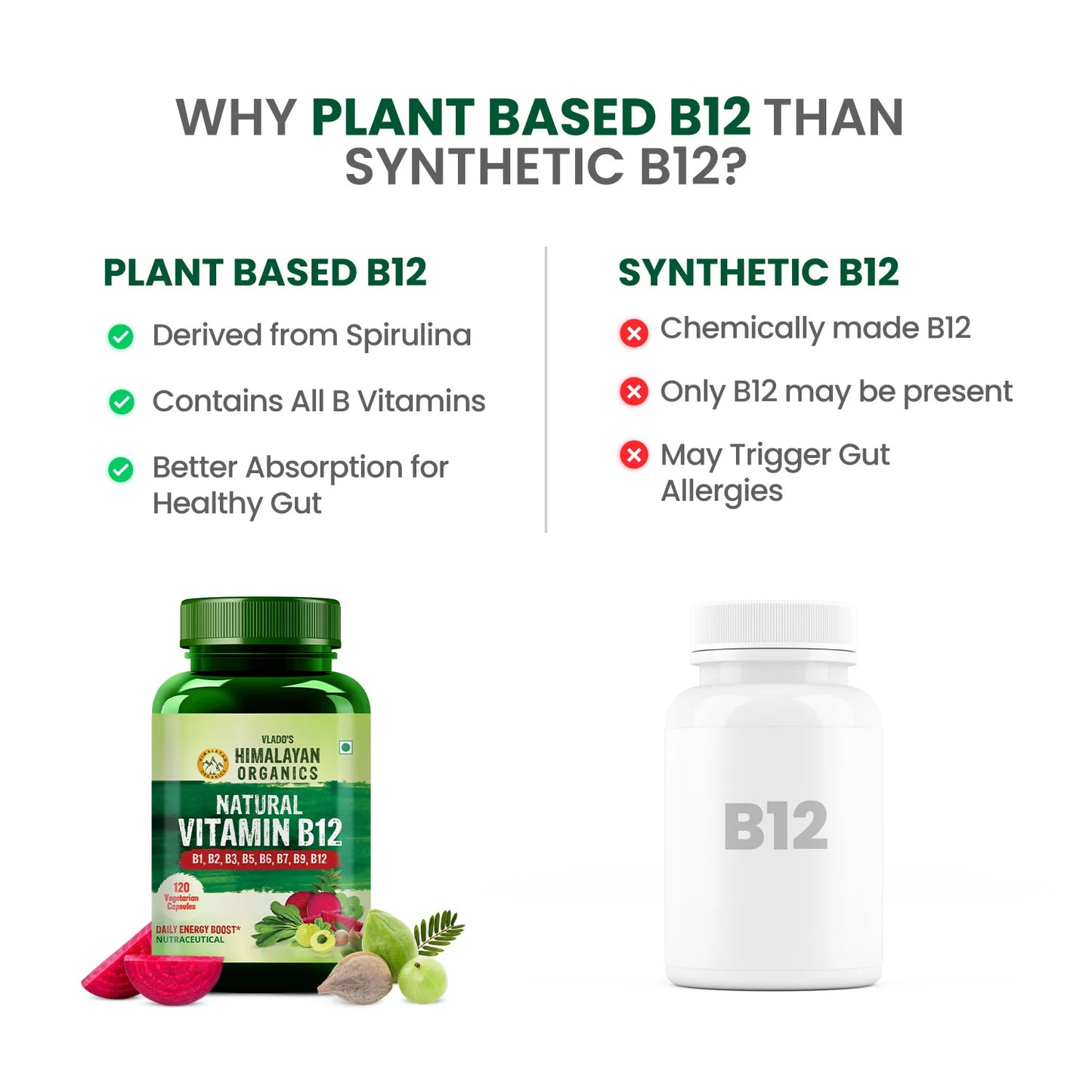 Vlado’s Himalayan Organics Natural Vitamin B12 | Energy & Nerve