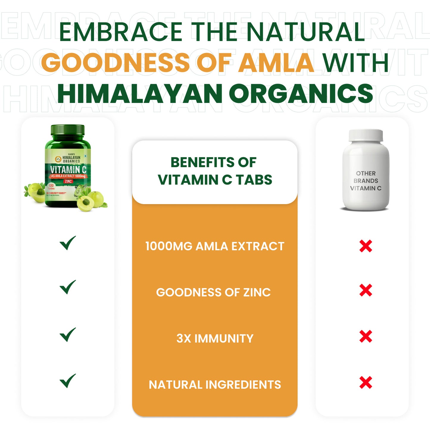 Vlado’s Himalayan Organics Vitamin C 1000mg | Amla & Zinc