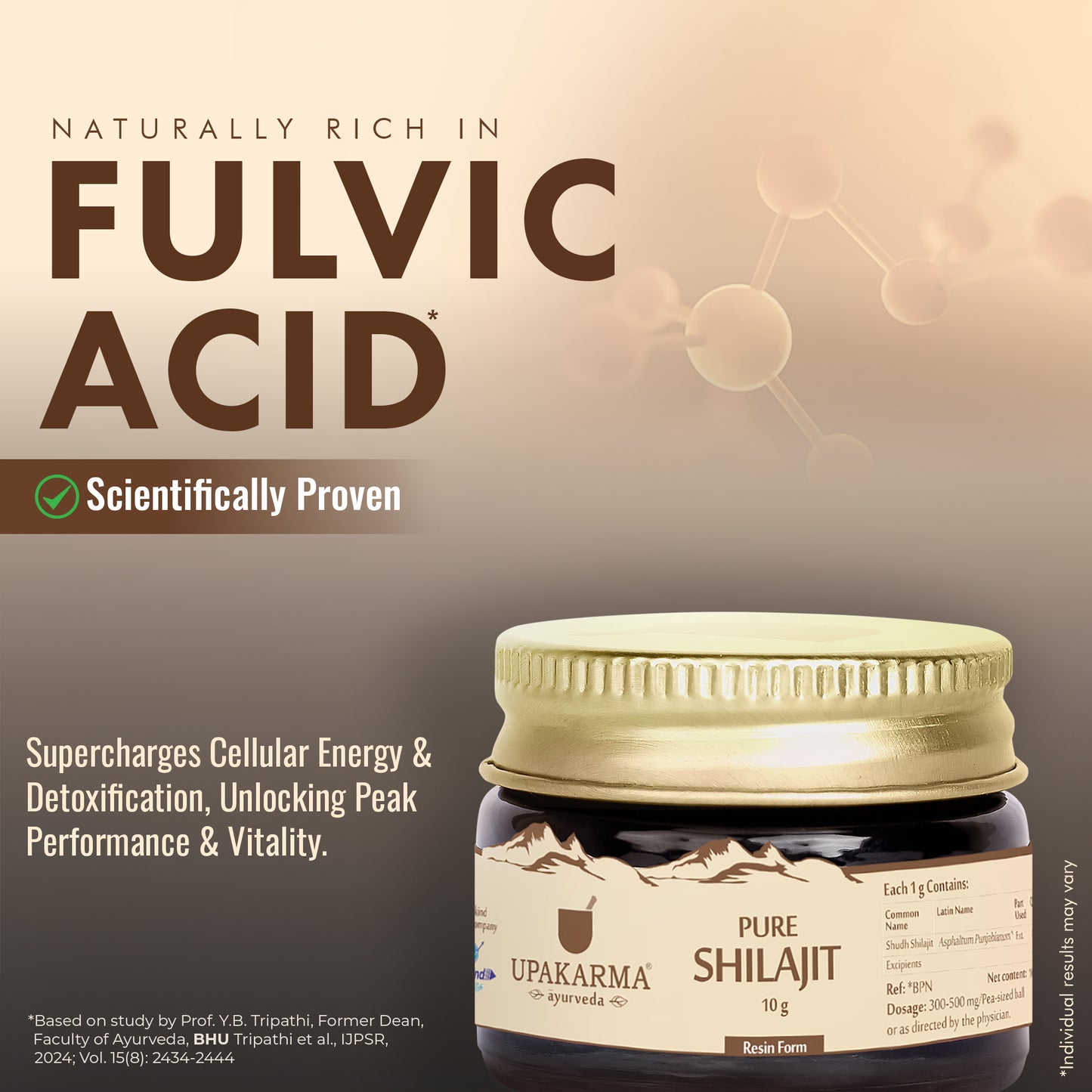 Upakarma Ayurveda Pure Shilajit | Natural Energy & Immunity