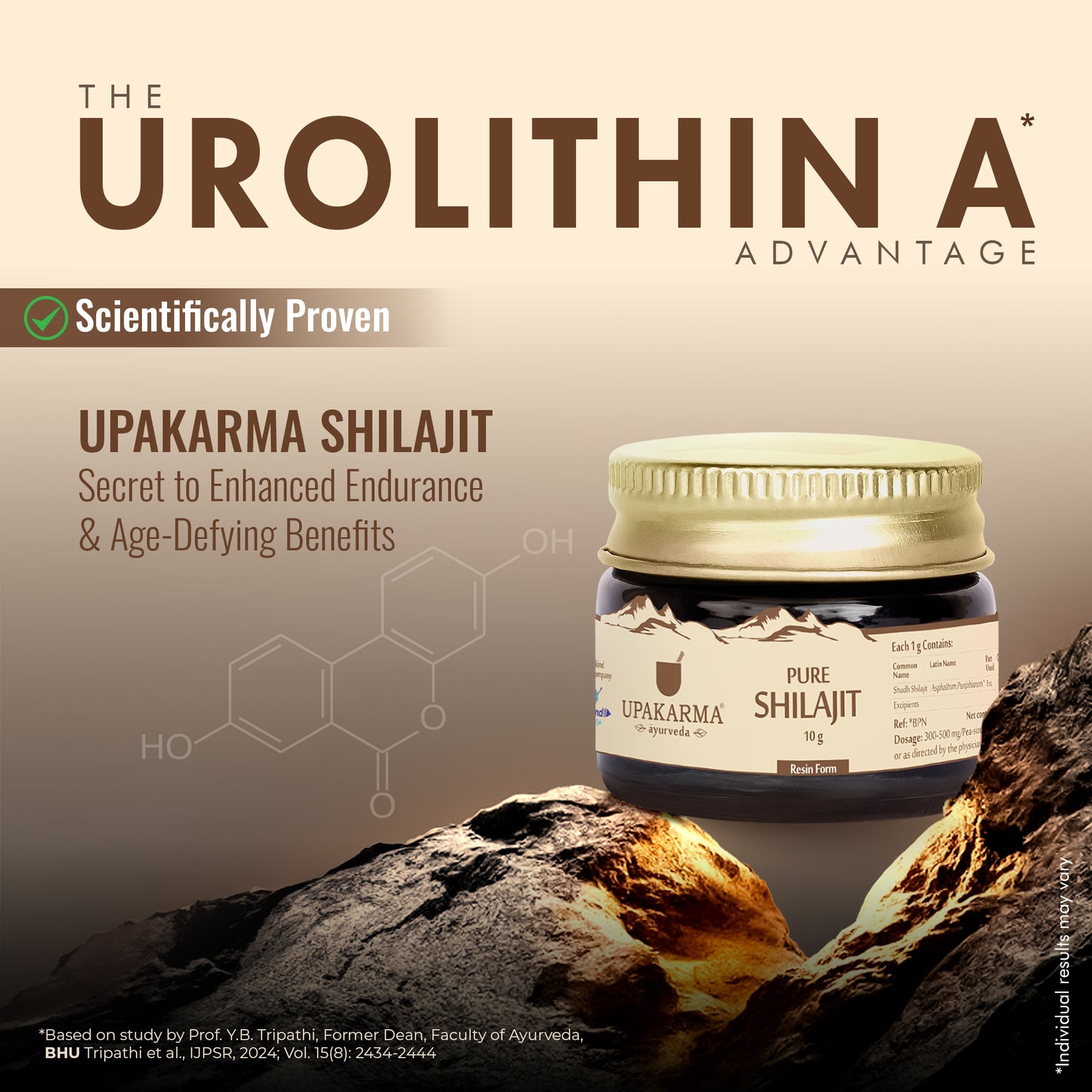 Upakarma Ayurveda Pure Shilajit | Natural Energy & Immunity