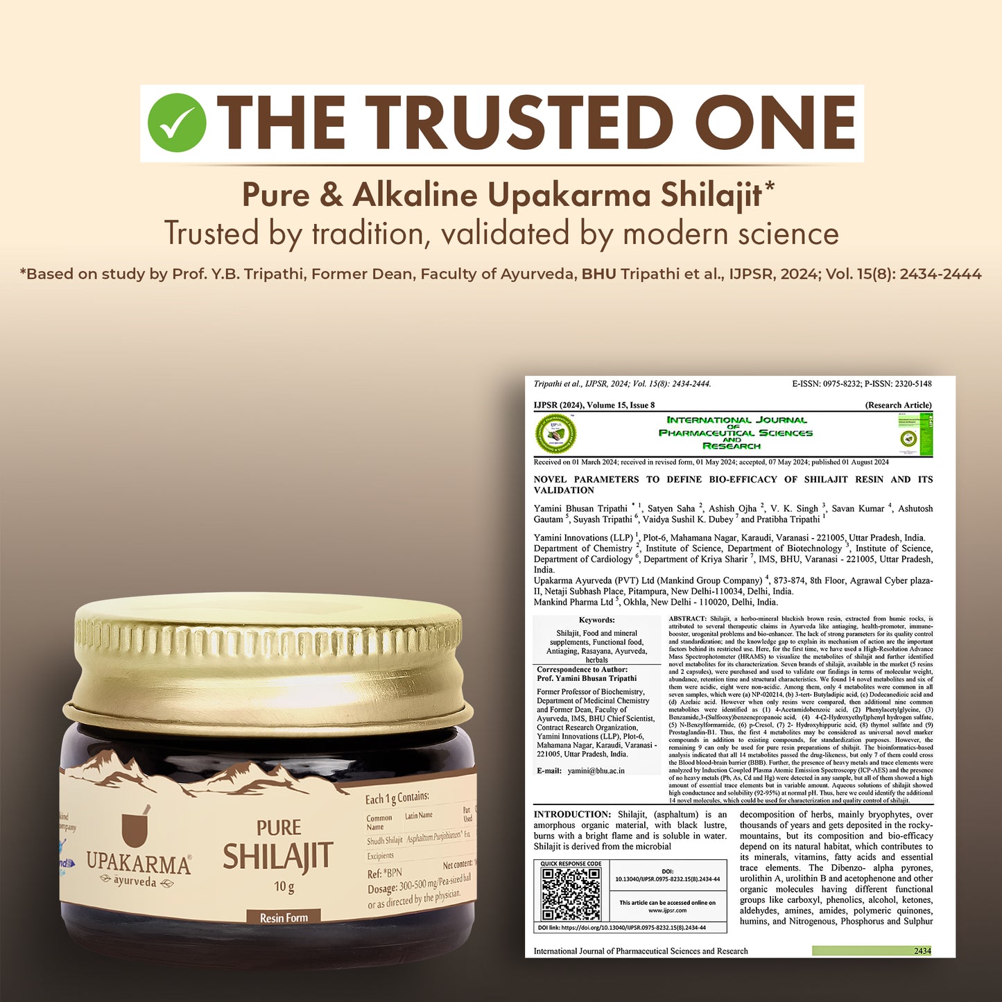 Upakarma Ayurveda Pure Shilajit | Natural Energy & Immunity