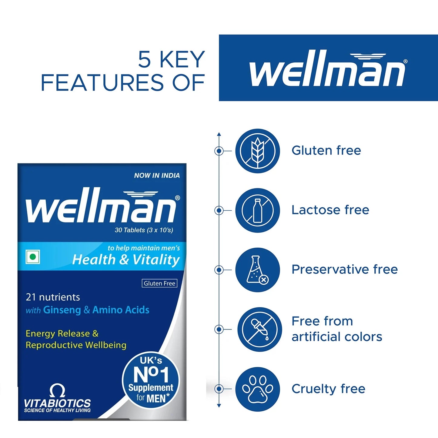 Wellman Multivitamin for Men | Gluten-Free Energy & Vitality