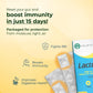 Velbiom Lactogut | Probiotic Supplement for Gut & Immunity