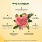Velbiom Lactogut | Probiotic Supplement for Gut & Immunity