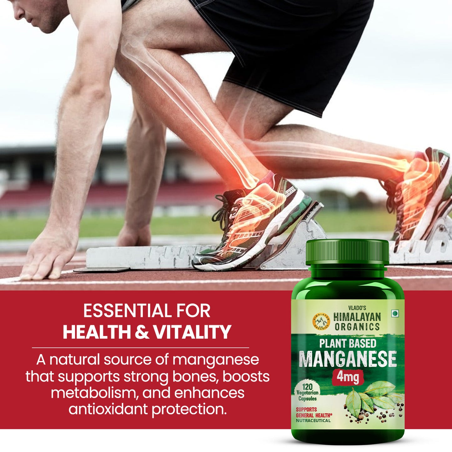 Vlado's Himalayan Organics Plant-Based Manganese 4mg