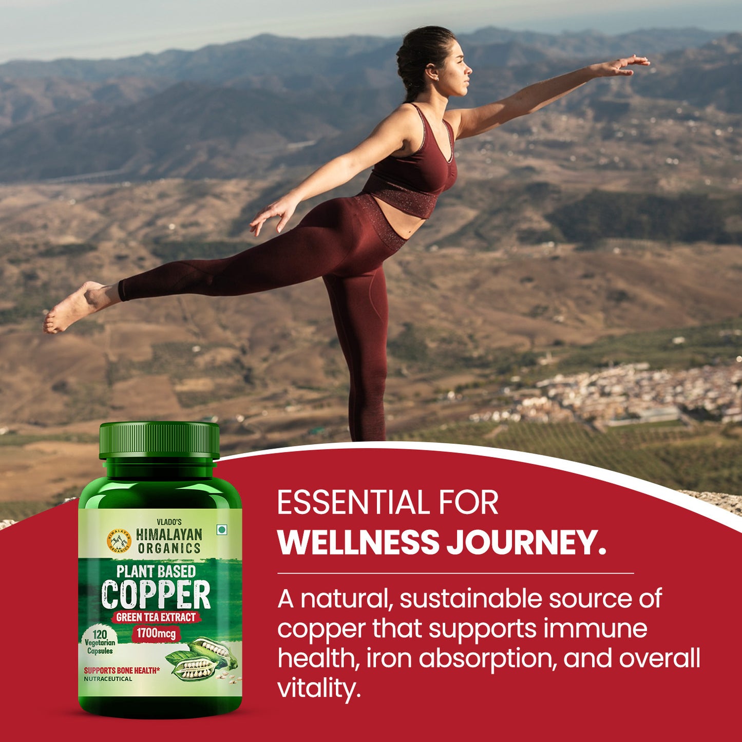 Vlado's Himalayan Organics Plant-Based Copper 1700mcg