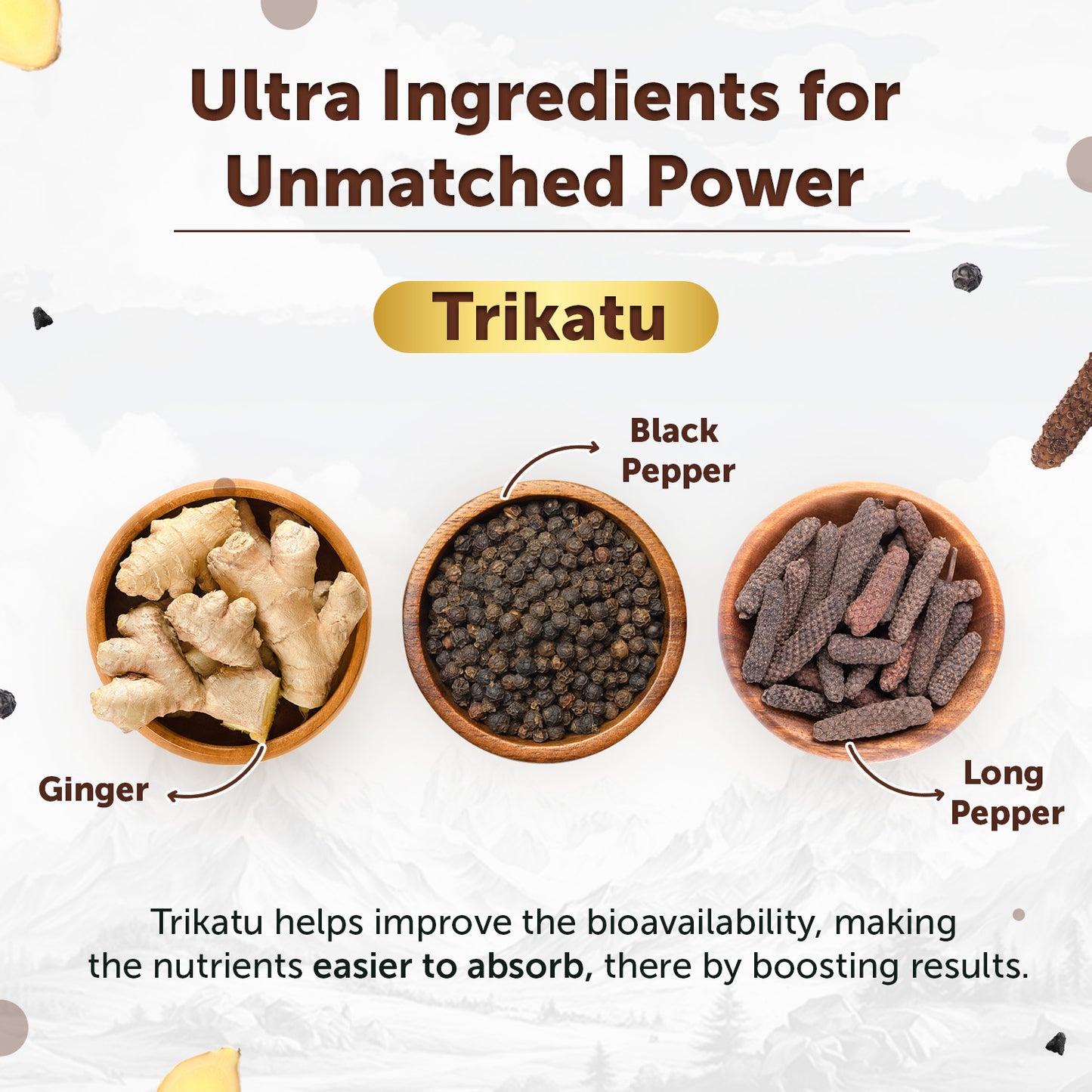 Neuherbs Shilajit Gold Ultra Resin | Stamina & Energy Boost