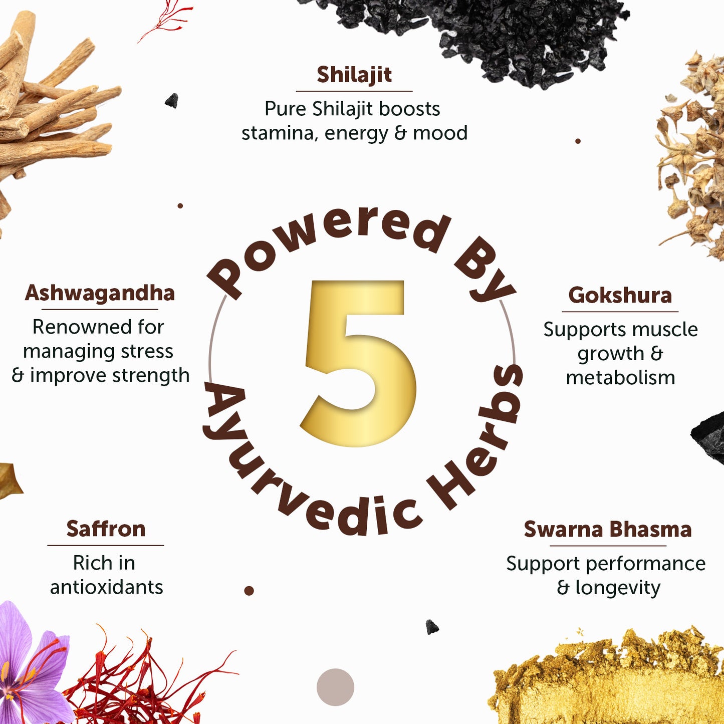 Neuherbs Shilajit Gold Ultra Resin | Stamina & Energy Boost