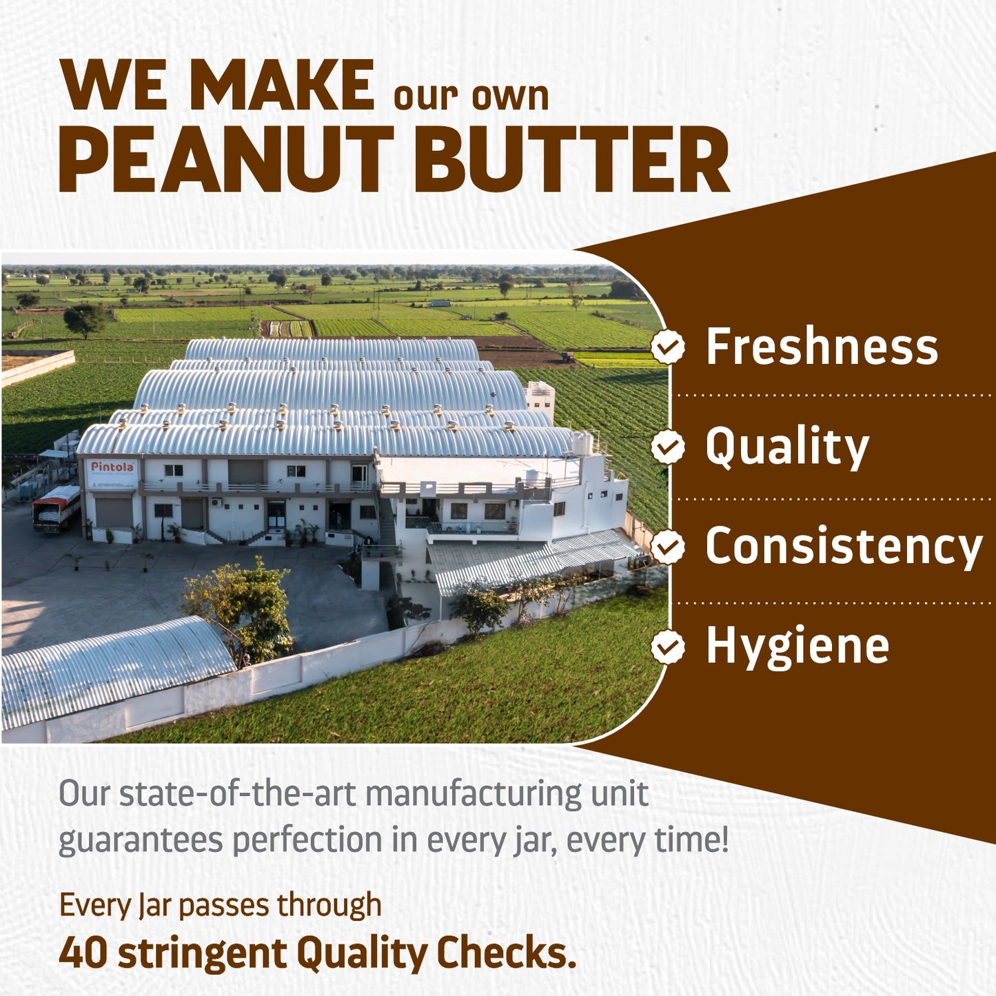 Pintola Dark Chocolate Peanut Butter | Vegan Protein Boost