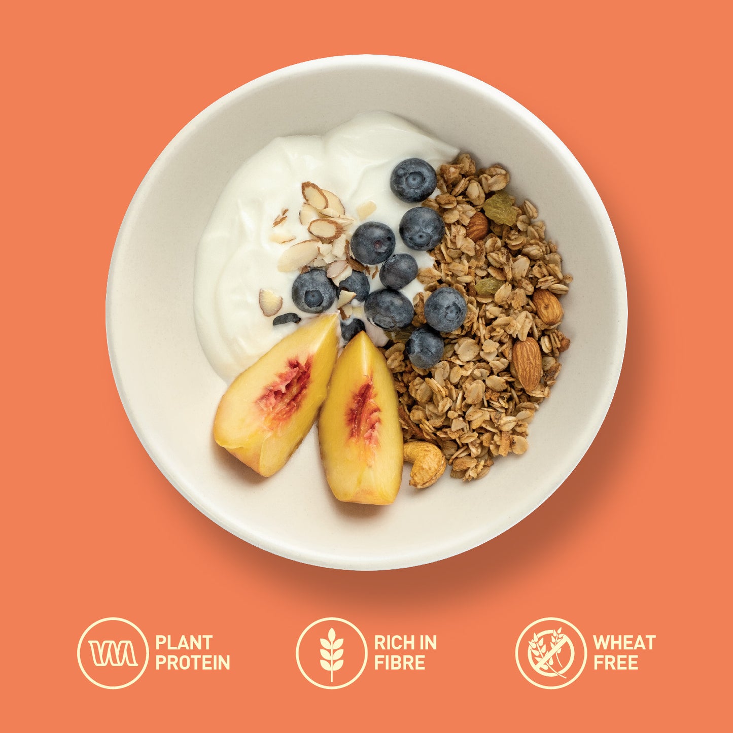 Nourish Organics Cinnamon Oats Granola | Wheat-Free, Organic