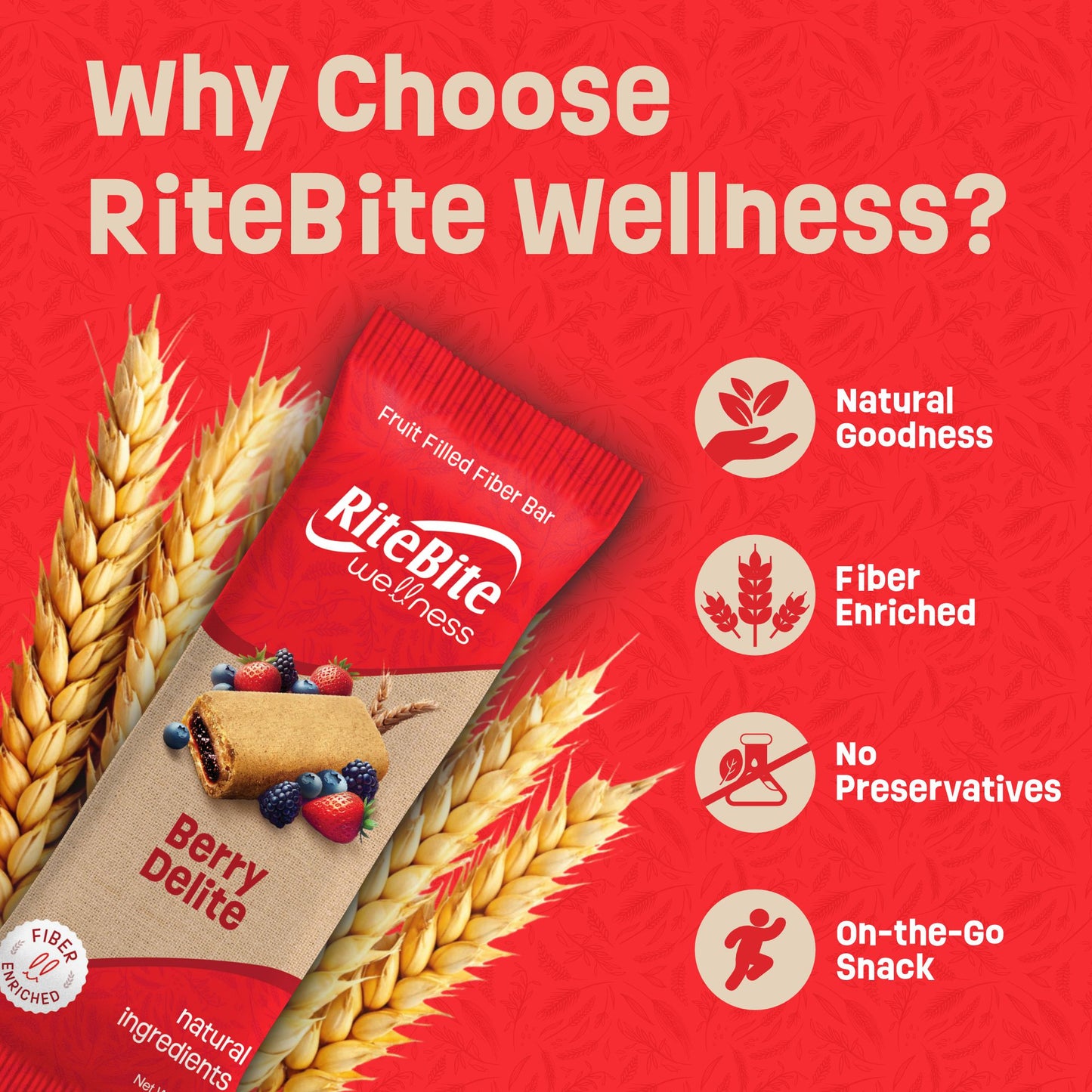 RiteBite Wellness Berry Delite Energy Bar | Nutritious Snack