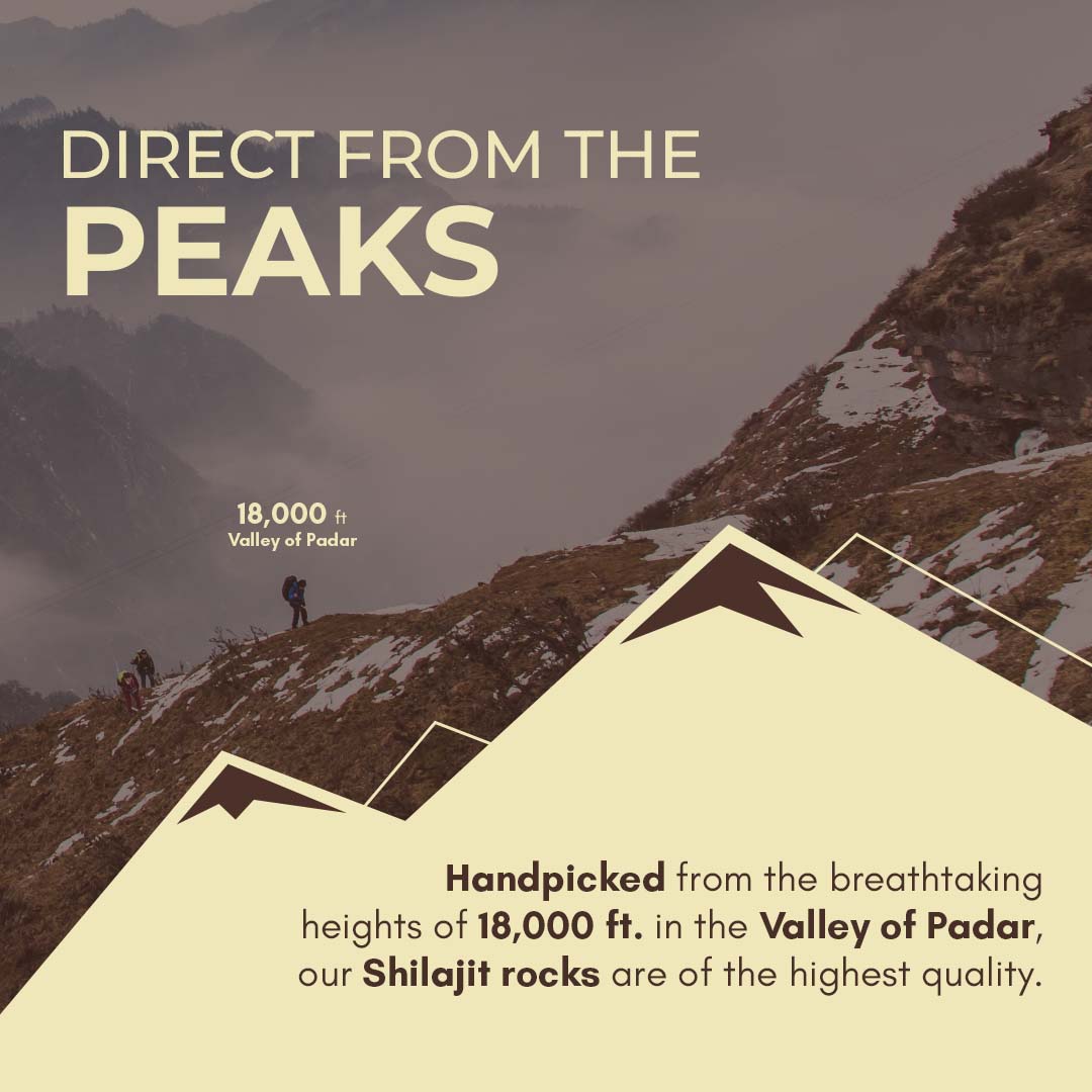 Rasayanam Pure Shilajit Resin | 75% Fulvic Acid & Minerals