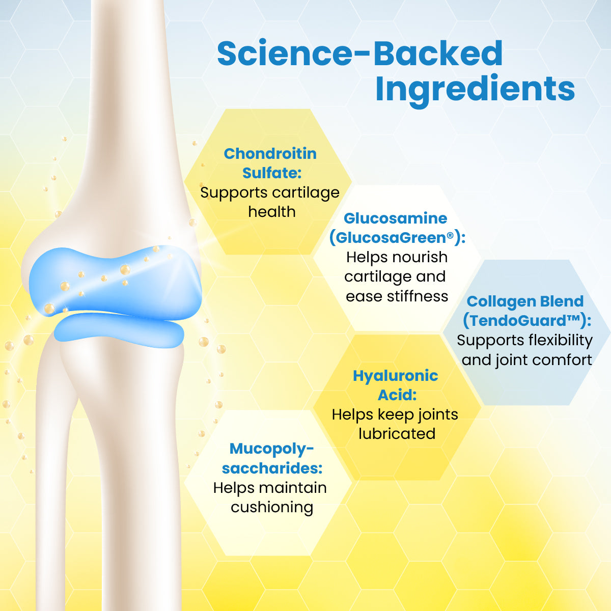Healthyr-U Advanced Joint Care | Support Flexibility & Mobility