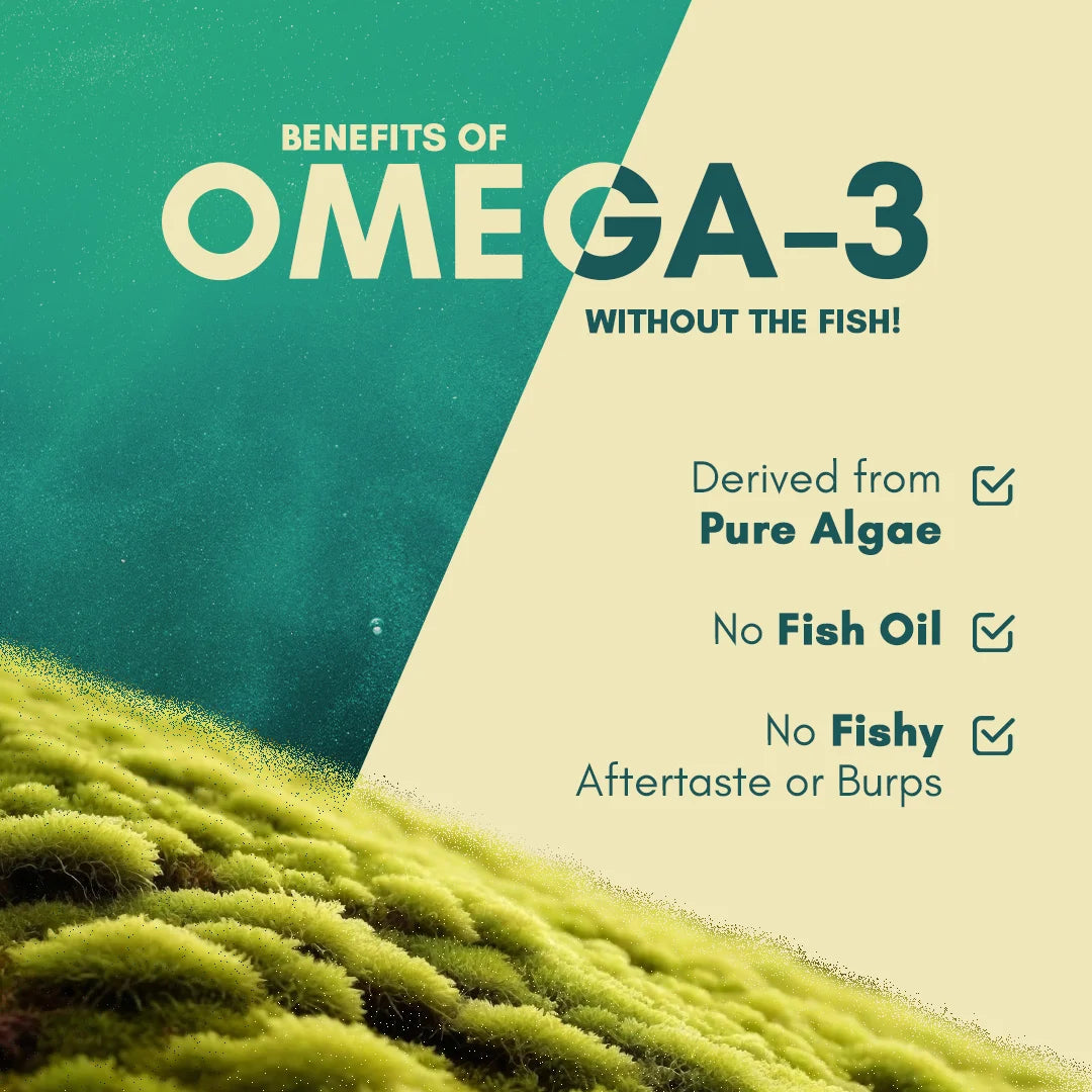 Rasayanam Plant Based Omega 3 - 1600mg Vegan DHA & EPA