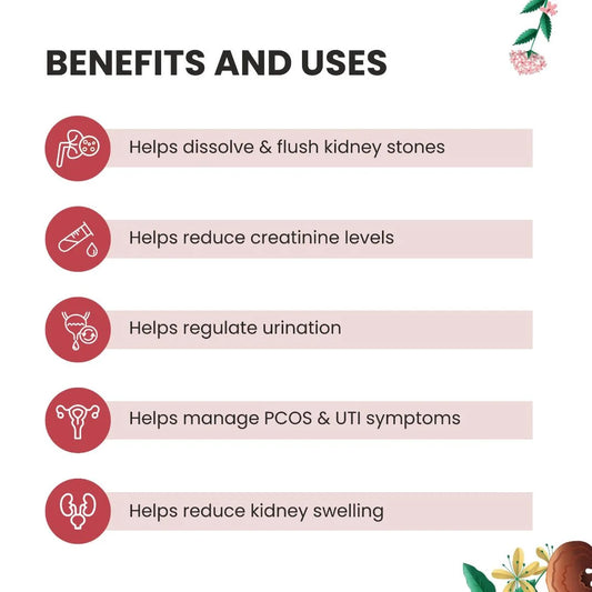 Foresta Organics Kidney Detox – Natural Kidney Support
