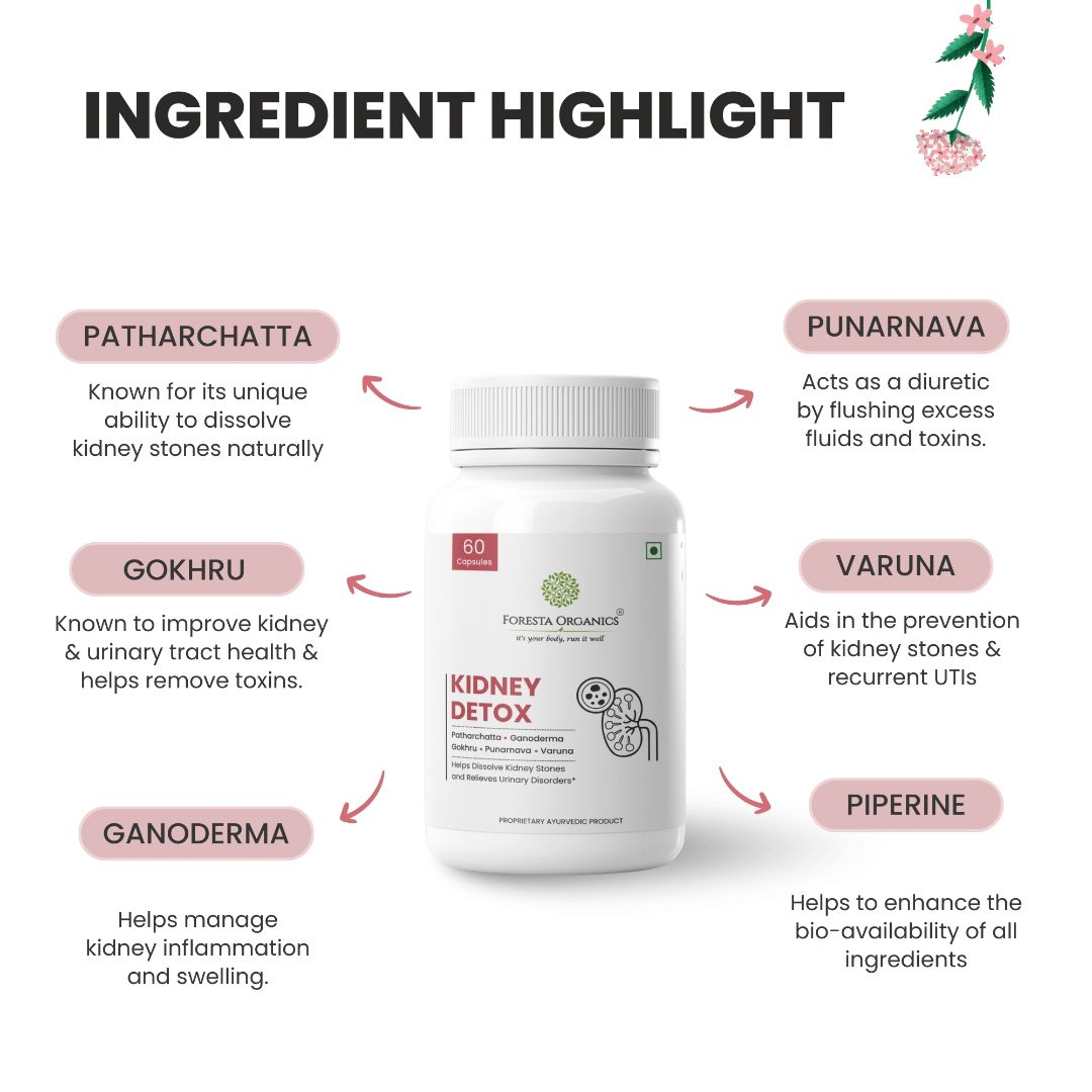 Foresta Organics Kidney Detox – Natural Kidney Support